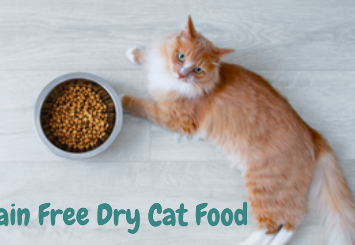 Why Go Grain-Free? The Benefits of Grain-Free Dry Cat Food