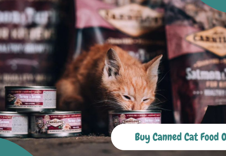 Buy Wet Cat Food Online 7 Mistakes to Avoid When Shopping for Your Cat