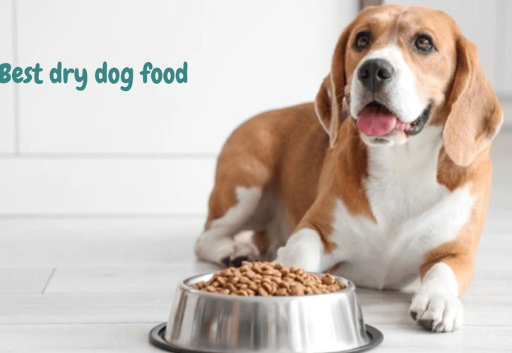 The Ultimate Guide to Choosing the Best Dry Dog Food for Your Dog’s Health & Nutrition