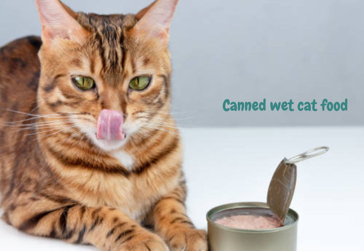 The Ultimate Guide to Storing Wet Cat Food: Tips for Freshness and Safety