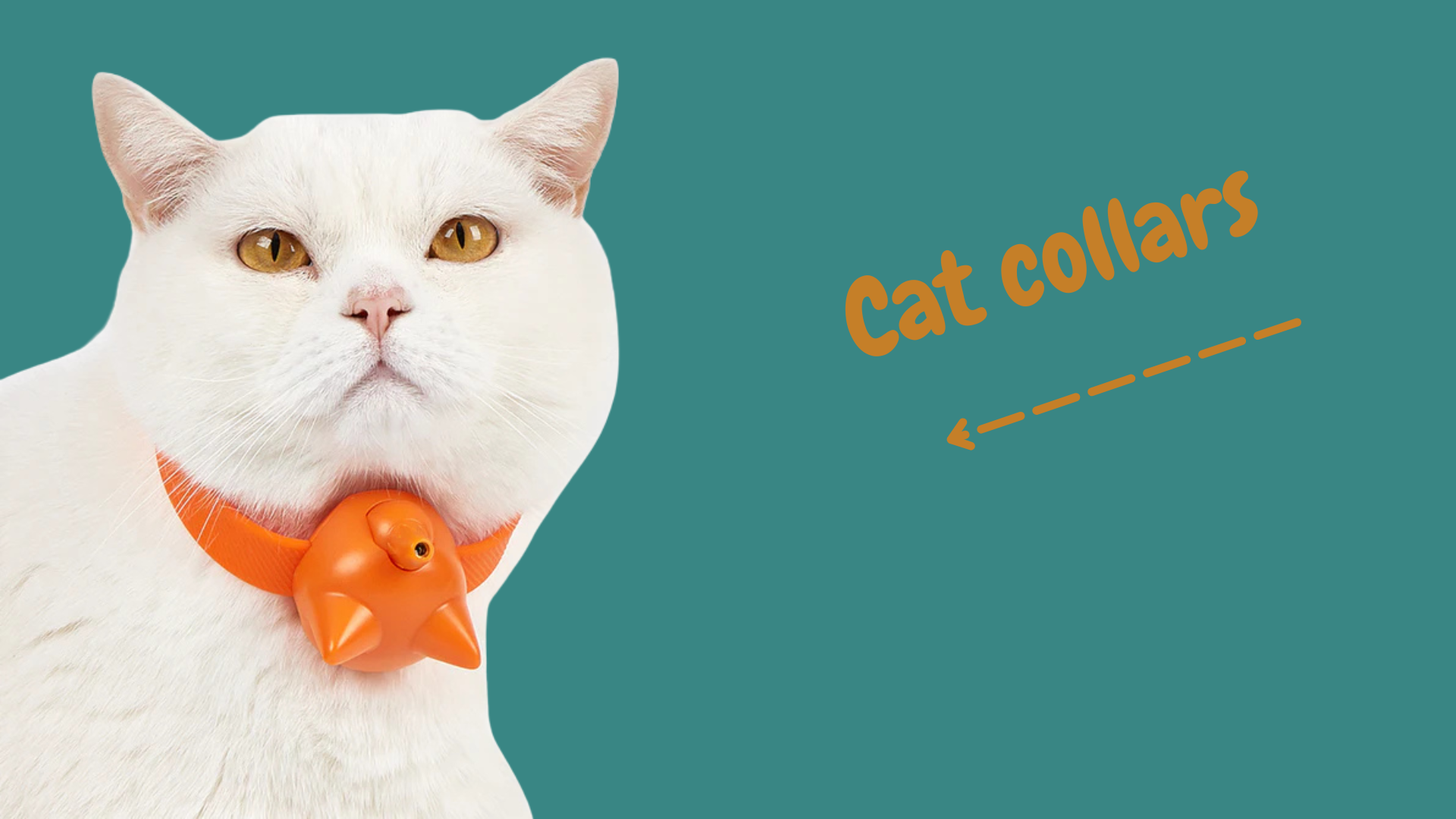 How to Choose the Best Cat Collar: Adjustable, Breakaway & Durable Options for Modern Pet Parents