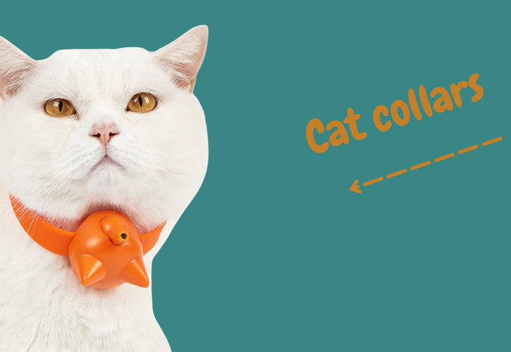How to Choose the Best Cat Collar: Adjustable, Breakaway & Durable Options for Modern Pet Parents