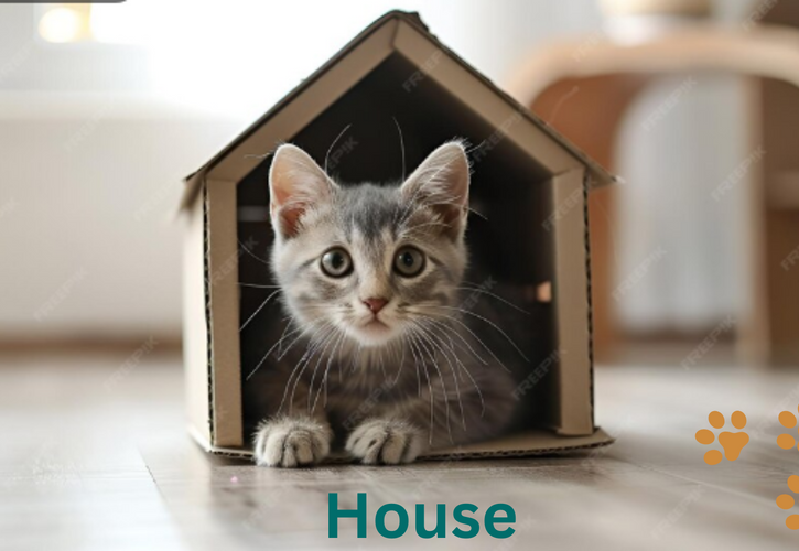 Ultimate Guide to Strong & Stylish Cat House Trees for Your Cat’s Home