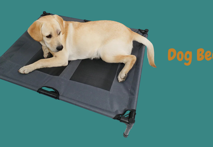 The Ultimate Dog Bed Guide: From Luxury Puppy Beds to Budget-Friendly Couch Beds