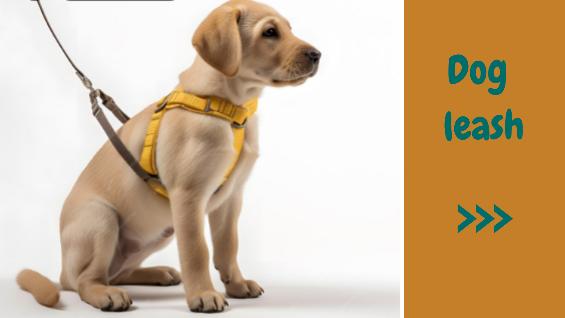 Best Dog Leashes & Leads for Training Puppies: Expert Buying Guide for New Pet Parents