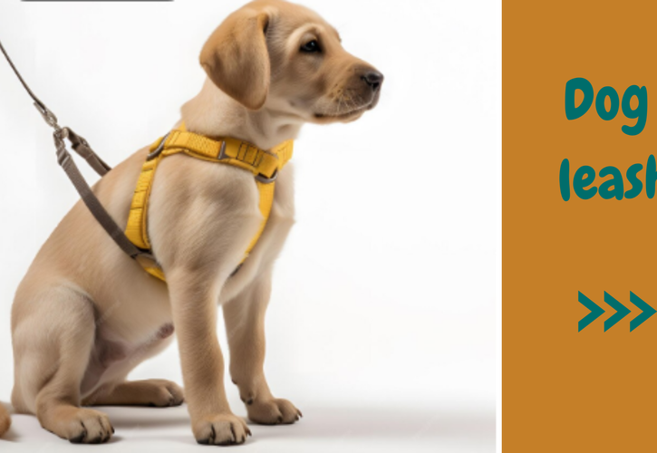 Best Dog Leashes & Leads for Training Puppies: Expert Buying Guide for New Pet Parents