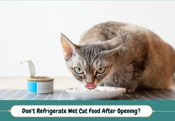 What Happens If You Don’t Refrigerate Wet Cat Food After Opening?