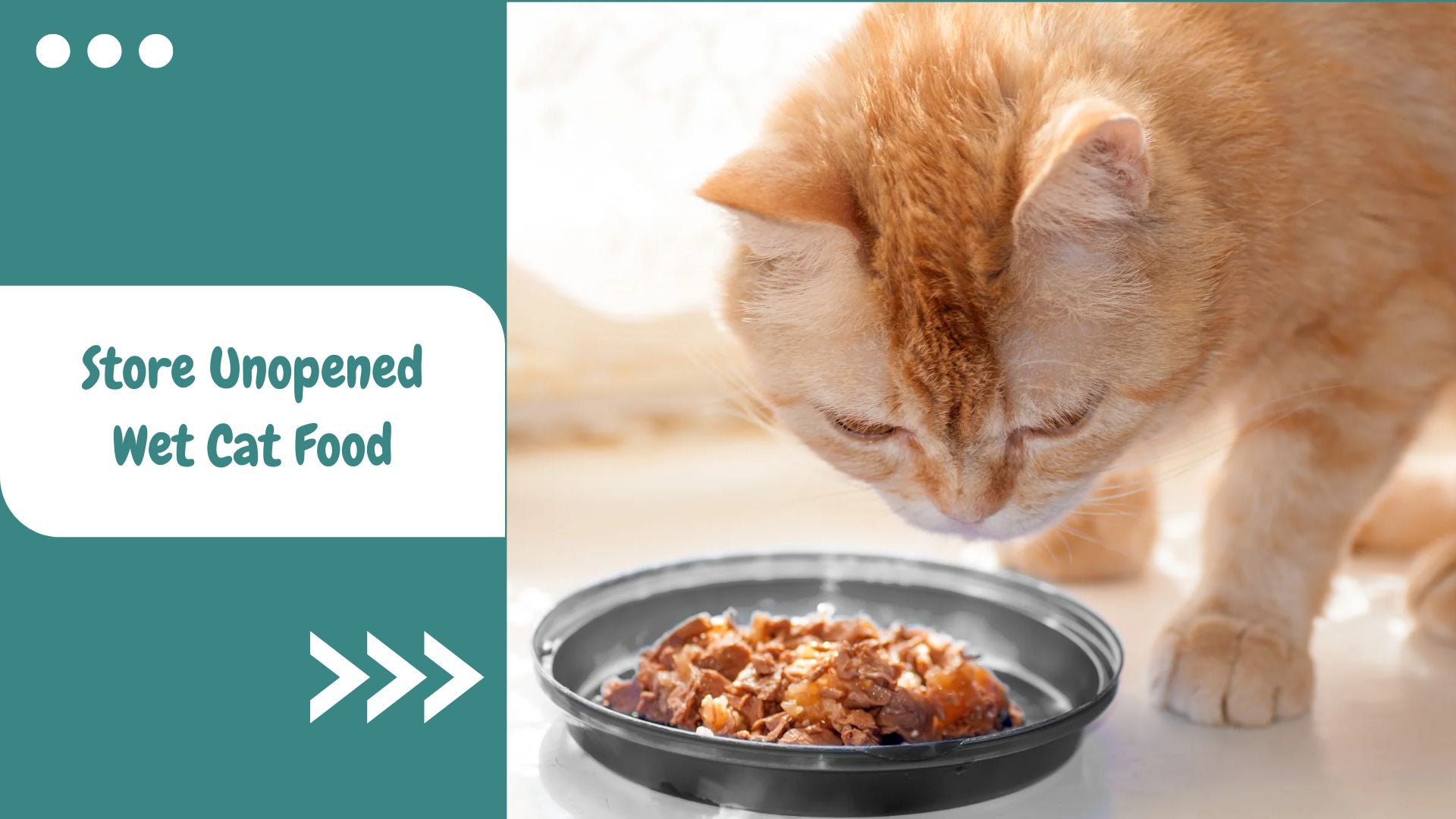 The Ultimate Guide to Storing Unopened Wet Cat Food Safely