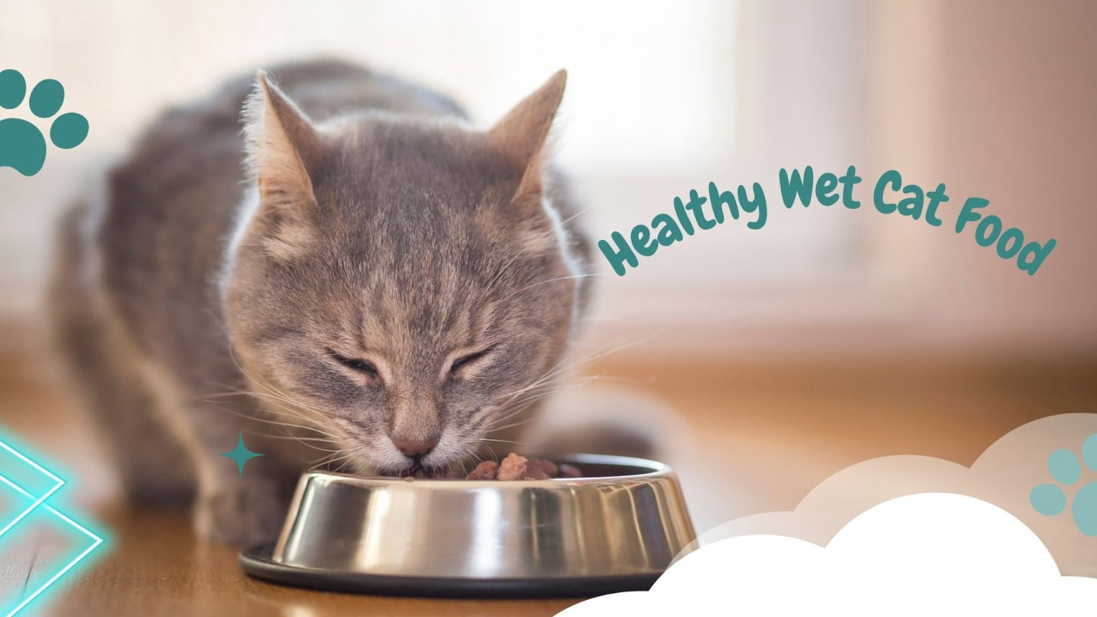 Healthy Wet Cat Food: What Every Cat Owner Needs to Know