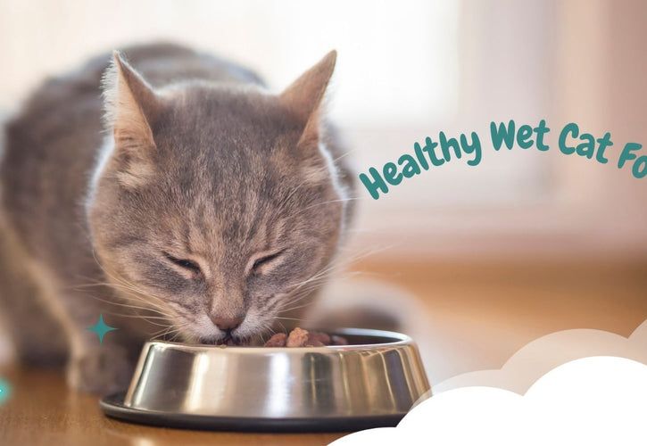 Healthy Wet Cat Food: What Every Cat Owner Needs to Know