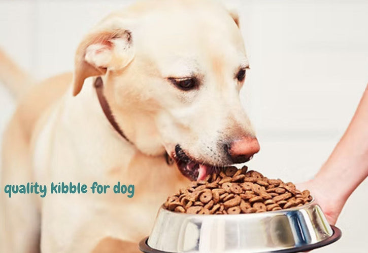 The Best Grain-Free High-Quality Kibble for Your Dog’s Health: Top Picks & Expert Tips