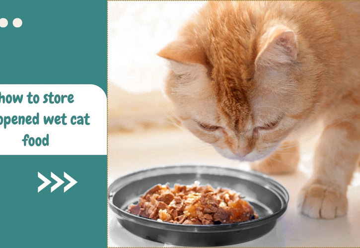 The Ultimate Guide to Storing Unopened Wet Cat Food Safely