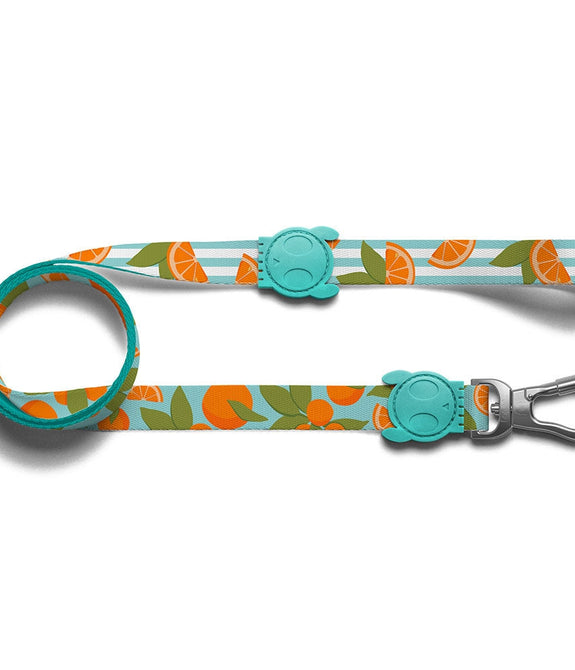 Zee.Dog Florida Leash Extra Small