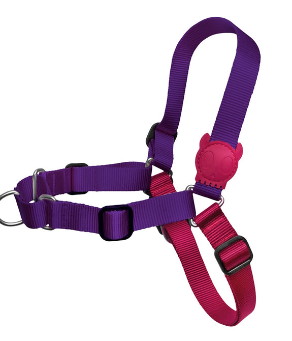 Zee.Dog Vega Soft-Walk Harness Medium