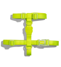 Zee.Dog Neopro Lime H-Harness Medium