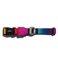 Zee.Dog Prisma Collar Small