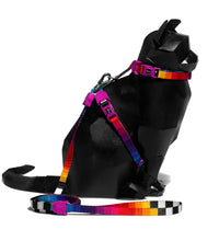 zee-cat-prisma-harness-leash-set -1