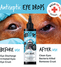 bugalugs-antiseptic-eye-drops-200ml-6-8-fl-oz -3