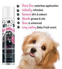 bugalugs-baby-fresh-dry-dog-shampoo-200ml -2