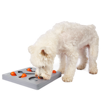 FOFOS Brain Game Treat Puzzle Dog Toy
