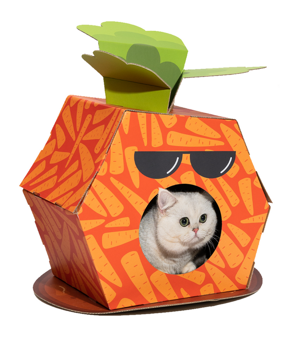 fofos-carrot-cardboard-cat-house-with-scratching-pad -1