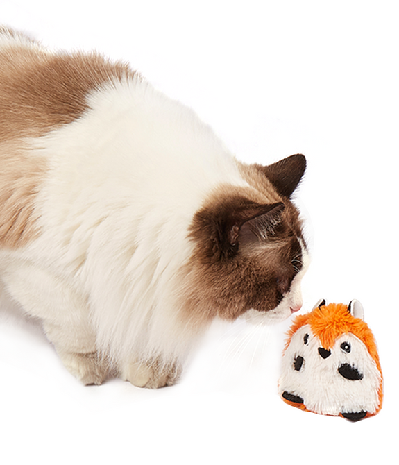 fofos-fox-floppy-crinkle-cat-toy -3