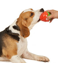 fofos-tough-fruit-silence-strawberry-dog-toy -2