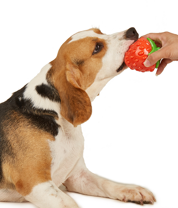 fofos-tough-fruit-silence-strawberry-dog-toy -3