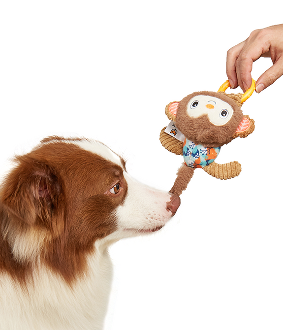 fofos-monkey-puppy-toy -3