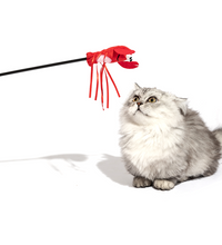 fofos-moving-lobster-cat-wand-cat-toy -2