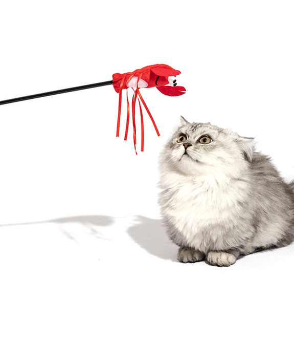 fofos-moving-lobster-cat-wand-cat-toy -3