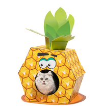 fofos-pineapple-cardboard-cat-house-with-scratching-pad -1