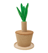 fofos-plant-pot-cat-scratcher -1