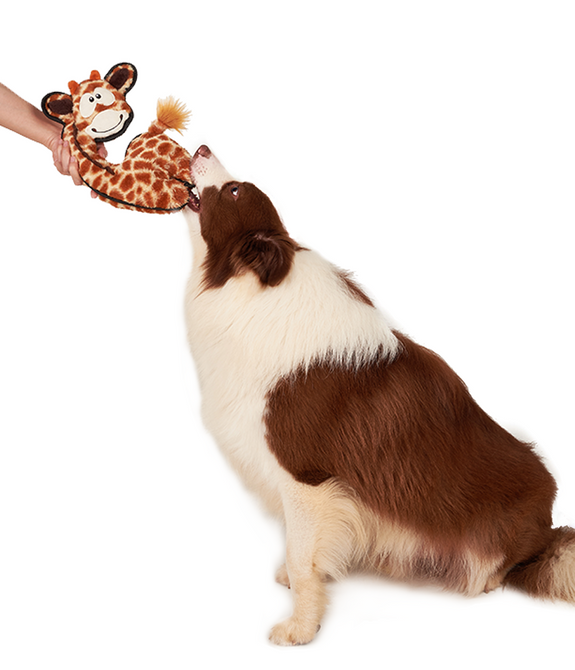 fofos-safari-line-giraffe-dog-toy -3