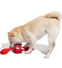 fofos-sealife-lobster-dog-toy -2