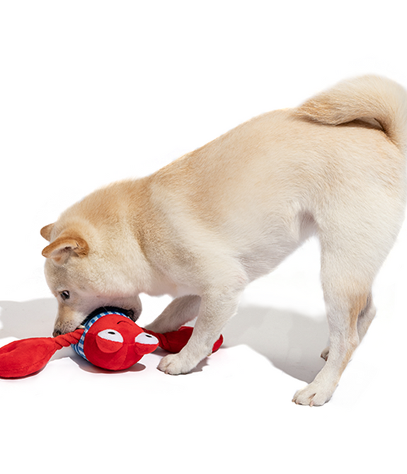 fofos-sealife-lobster-dog-toy -3