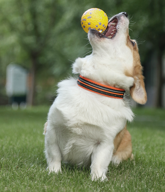 M-PETS Bloom Ball III Dog Toy