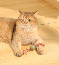 M-PETS Charmy Branch Red Catnip Cat Toy