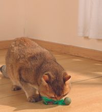 M-PETS Charmy Bugbear Green Catnip Cat Toy