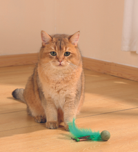 M-PETS Charmy Bugbear Green Catnip Cat Toy