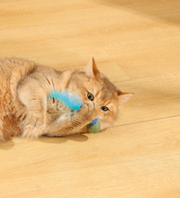 M-PETS Charmy Firefly Blue Catnip Cat Toy