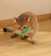 M-PETS Charmy Firefly Green Catnip Cat Toy