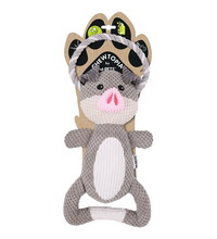 M-PETS Chewtopia Pig Dog Toy