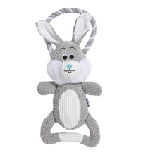 M-PETS Chewtopia Rabbit Dog Toy