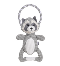 M-PETS Chewtopia Raccoon Dog Toy