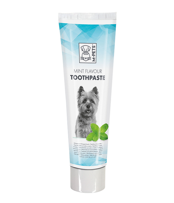 M-PETS Mint flavor Toothpaste 100g