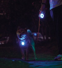 M-PETS Rechargeable LED JEWEL for dogs – Blue