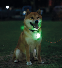 M-PETS Rechargeable LED JEWEL for dogs – Green