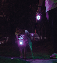 M-PETS Rechargeable LED JEWEL for dogs – White