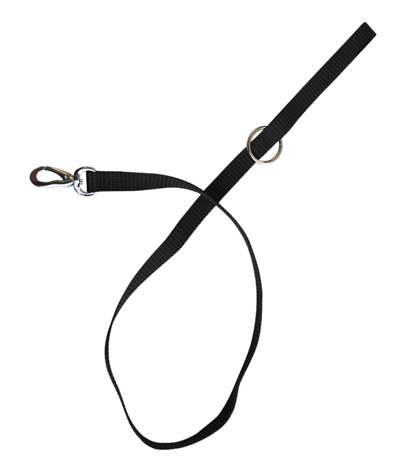 M-PETS Sportline Dog Leash Black